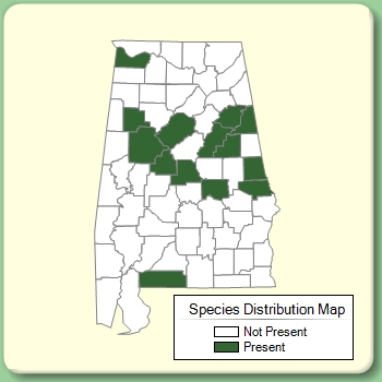 Species Distribution Map