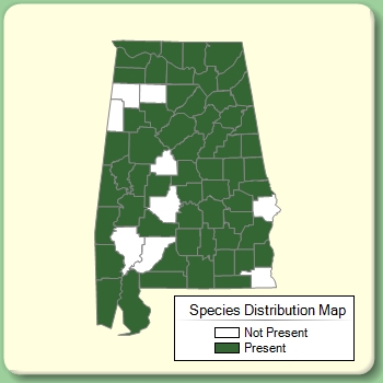 Species Distribution Map