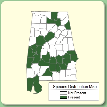 Species Distribution Map