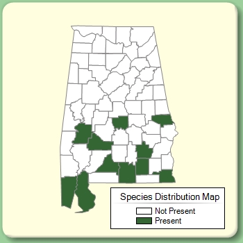 Species Distribution Map