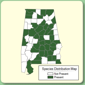 Species Distribution Map