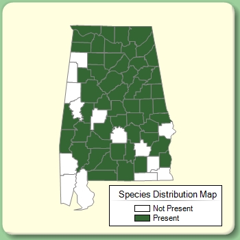 Species Distribution Map