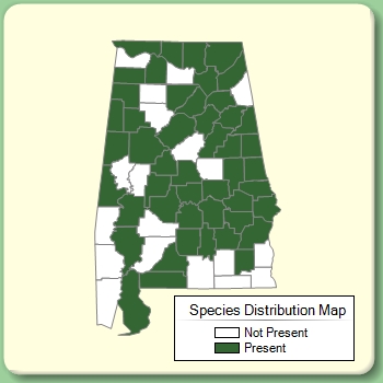 Species Distribution Map