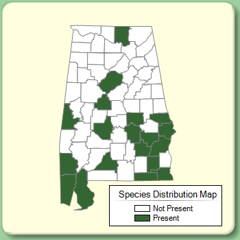 Species Distribution Map