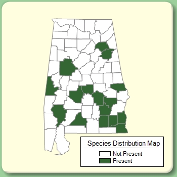 Species Distribution Map