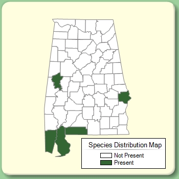 Species Distribution Map