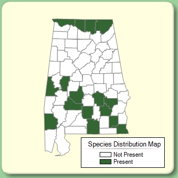 Species Distribution Map