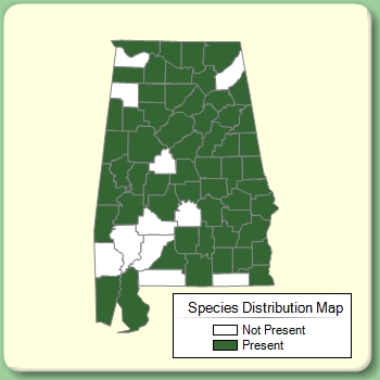 Species Distribution Map