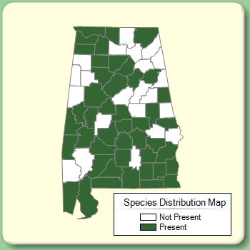 Species Distribution Map