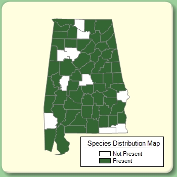 Species Distribution Map