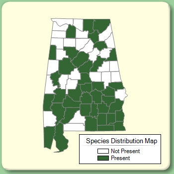 Species Distribution Map