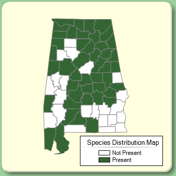 Species Distribution Map