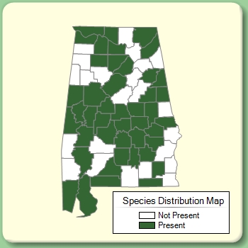 Species Distribution Map