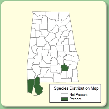 Species Distribution Map