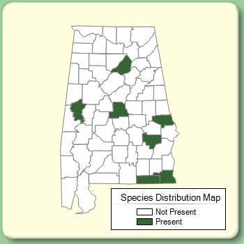 Species Distribution Map