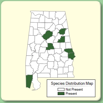 Species Distribution Map