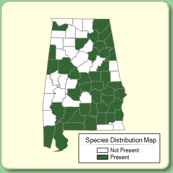 Species Distribution Map