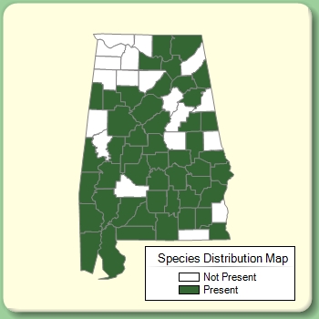 Species Distribution Map