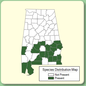 Species Distribution Map