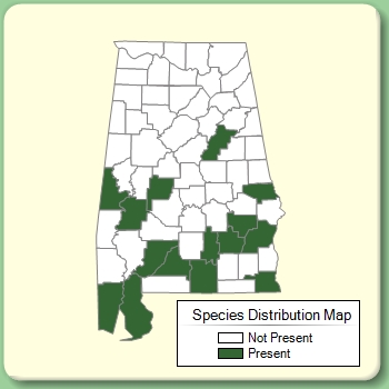 Species Distribution Map