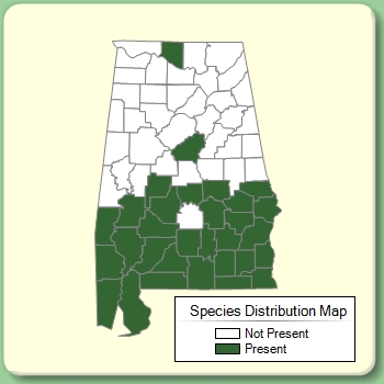 Species Distribution Map