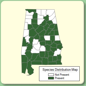 Species Distribution Map