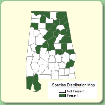 Species Distribution Map