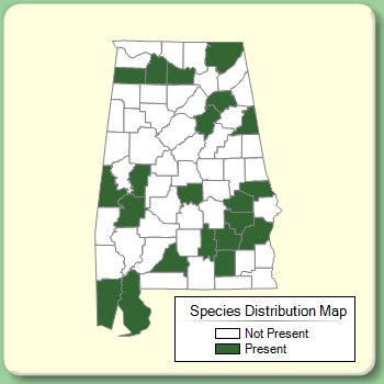 Species Distribution Map