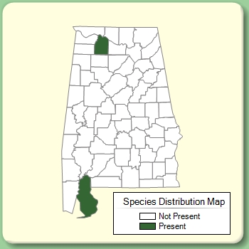 Species Distribution Map