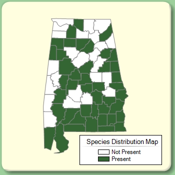 Species Distribution Map