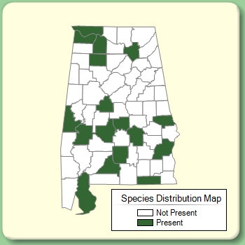 Species Distribution Map