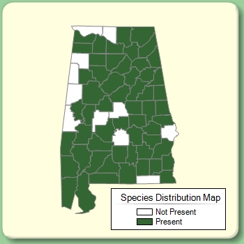 Species Distribution Map