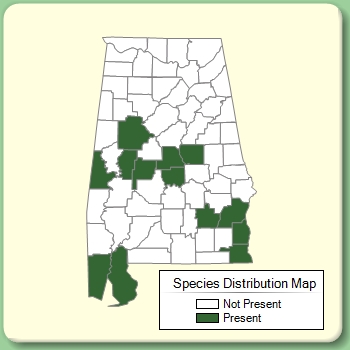 Species Distribution Map