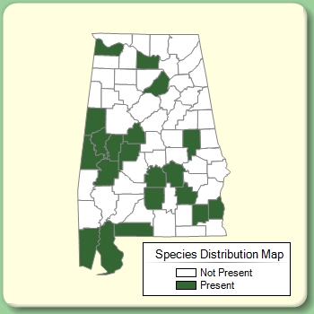 Species Distribution Map