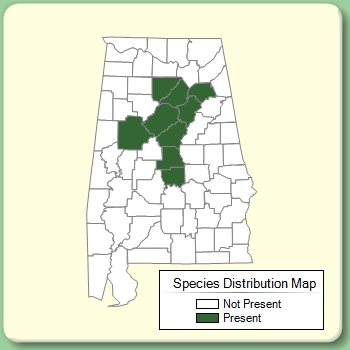 Species Distribution Map