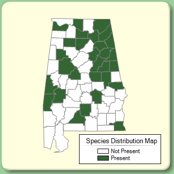 Species Distribution Map