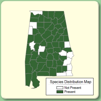 Species Distribution Map