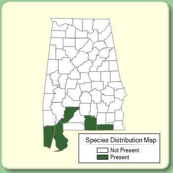 Species Distribution Map