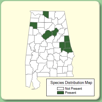 Species Distribution Map