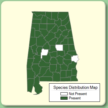 Species Distribution Map