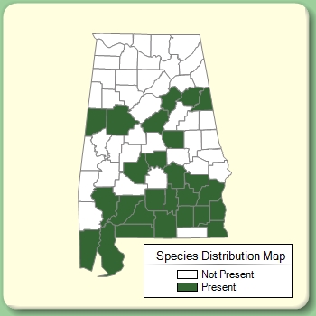 Species Distribution Map