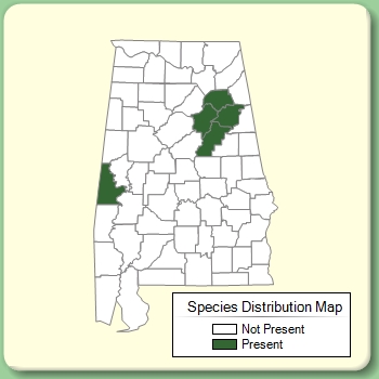 Species Distribution Map