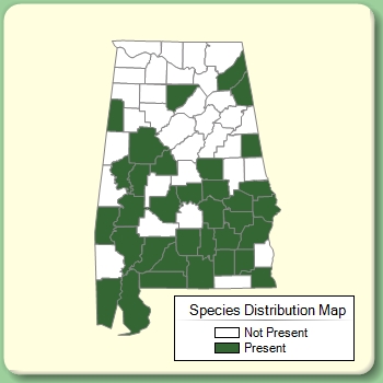 Species Distribution Map