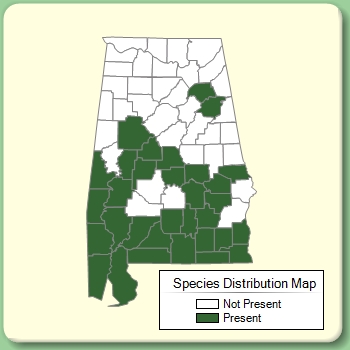 Species Distribution Map