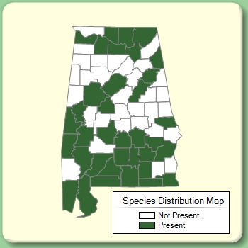 Species Distribution Map