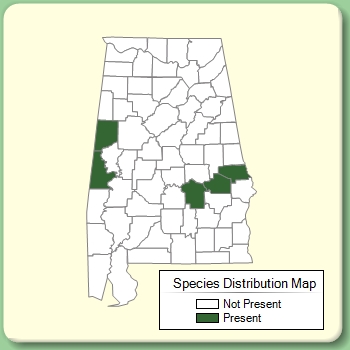 Species Distribution Map