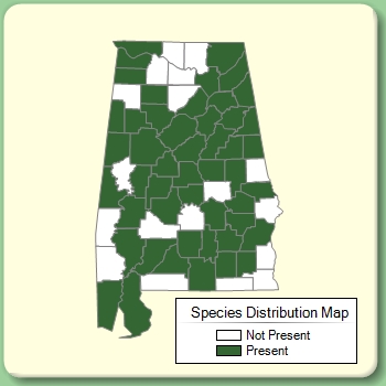 Species Distribution Map