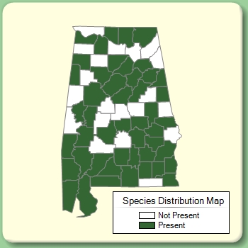 Species Distribution Map