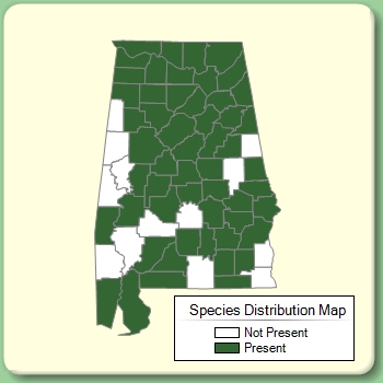 Species Distribution Map