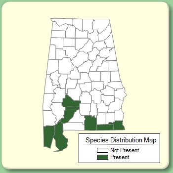 Species Distribution Map